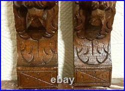 Pair mascaron lion carving corbel bracket Antique french architectural salvage