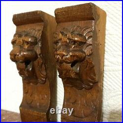 Pair mascaron lion carving corbel bracket Antique french architectural salvage