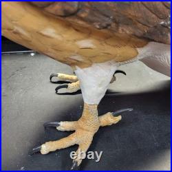 Rare Hand Carved Red Tail Hawk Statue By S. Cukowski Hyper Realistic Design