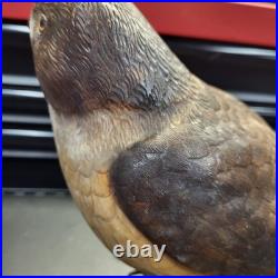 Rare Hand Carved Red Tail Hawk Statue By S. Cukowski Hyper Realistic Design