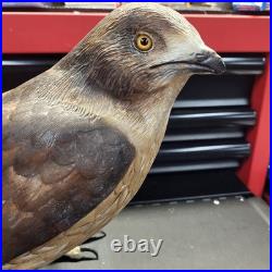 Rare Hand Carved Red Tail Hawk Statue By S. Cukowski Hyper Realistic Design