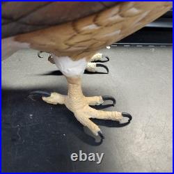 Rare Hand Carved Red Tail Hawk Statue By S. Cukowski Hyper Realistic Design