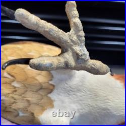 Rare Hand Carved Red Tail Hawk Statue By S. Cukowski Hyper Realistic Design