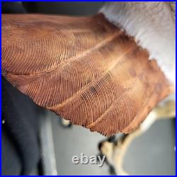 Rare Hand Carved Red Tail Hawk Statue By S. Cukowski Hyper Realistic Design