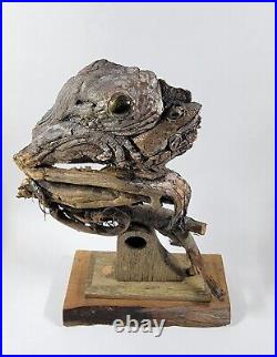 Rick Cain Original Hand Carved Wood Statue Tree Frog