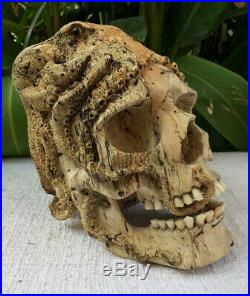 Skull Hand Carved Sculpture Wood Human Skull Octupus Carving Realistic Unique