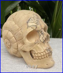 Solid Carved Wooden Human Skull with Snail Design Carved Skull Figure Big Size