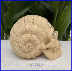 Solid Carved Wooden Human Skull with Snail Design Carved Skull Figure Big Size