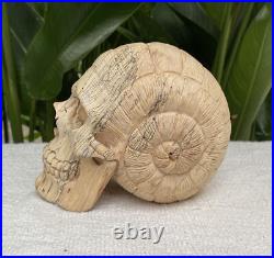 Solid Carved Wooden Human Skull with Snail Design Carved Skull Figure Big Size