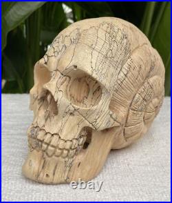 Solid Carved Wooden Human Skull with Snail Design Carved Skull Figure Big Size Solid Carved Wooden Human Skull with Snail Design Carved Skull Figure Big Size