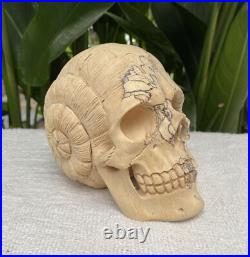 Solid Carved Wooden Human Skull with Snail Design Carved Skull Figure Big Size