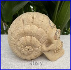 Solid Carved Wooden Human Skull with Snail Design Carved Skull Figure Big Size