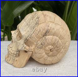 Solid Carved Wooden Human Skull with Snail Design Carved Skull Figure Big Size