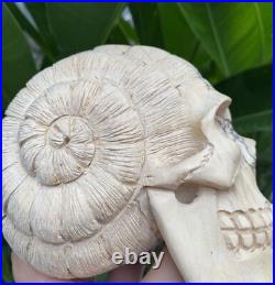 Solid Carved Wooden Human Skull with Snail Design Carved Skull Figure Big Size