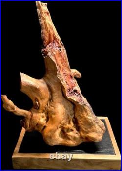 Stunning 100+ yr old Burl Wood Root Sculpture One-of-a-Kind Natural Art Piece