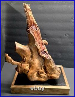Stunning 100+ yr old Burl Wood Root Sculpture One-of-a-Kind Natural Art Piece