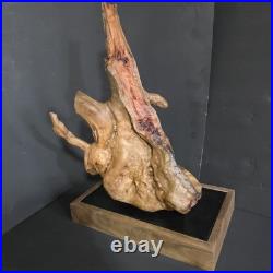 Stunning 100+ yr old Burl Wood Root Sculpture One-of-a-Kind Natural Art Piece