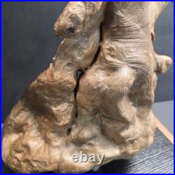 Stunning 100+ yr old Burl Wood Root Sculpture One-of-a-Kind Natural Art Piece