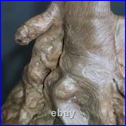 Stunning 100+ yr old Burl Wood Root Sculpture One-of-a-Kind Natural Art Piece Stunning 100+ yr old Burl Wood Root Sculpture One-of-a-Kind Natural Art Piece