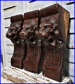 THREE GOTHIC LION CORBEL BRACKET Antique french carved wood salvaged sculpture