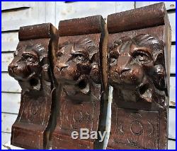 THREE GOTHIC LION CORBEL BRACKET Antique french carved wood salvaged sculpture