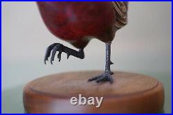 TOM TABER Wood Carved Ringneck Pheasant Signed Bird Decoy Sculpture Statue