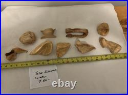 Tactile Experience -Canadian Artisan-Jamie Russel-9 Assorted Small Carvings