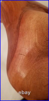 Teak Wood Rhino Sculpture Teak Wood Rhino Sculpture