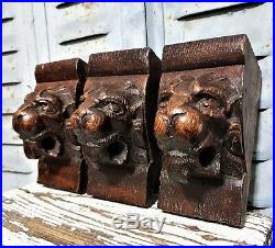 Three gothic lion corbel bracket Antique french wood carving salvaged furniture
