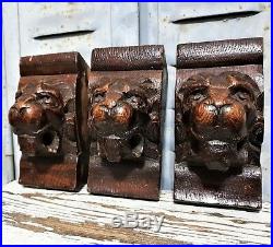 Three gothic lion corbel bracket Antique french wood carving salvaged furniture