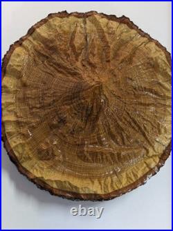 Topographic 3D Wood Carving Mountain Custom Unique Mt. Hood Center Piece Nature