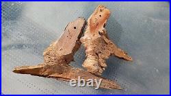 Two Beautiful WELLS P SIGNED WOOD CARVING FACE / FOREST SPIRIT BEARDED MAN