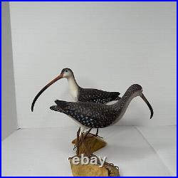 Two Long Billed Curlew Shorebirds Hand Carved Realistic Matched Pair