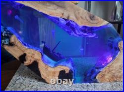 Underwater Epoxy and Wood Sculpture Large 15L X 8 H. New. Rgb Led Light