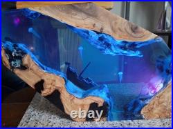 Underwater Epoxy and Wood Sculpture Large 15L X 8 H. New. Rgb Led Light