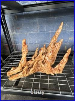 Unique Cypress Knee Swamp Dong Art piece titled 50 SHADES O PHALLUS