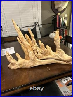 Unique Cypress Knee Swamp Dong Art piece titled 50 SHADES O PHALLUS