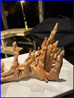 Unique Cypress Knees Art Sculpture 23 long x 23tall natural wood art