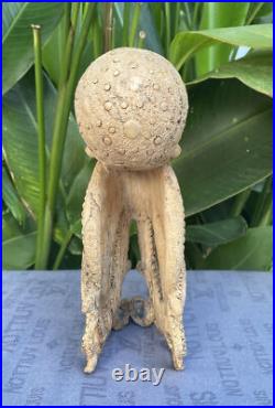 Unique Octopus Carved Wooden Statue Carving Carved Octopus Skull Unique Octopus Carved Wooden Statue Carving Carved Octopus Skull