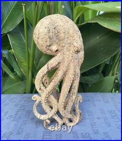 Unique Octopus Carved Wooden Statue Carving Carved Octopus Skull Unique Octopus Carved Wooden Statue Carving Carved Octopus Skull