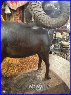 VTG Art IRON WOOD Hand Carved AMERICAN RAM Heavy Detailed 12T x 9L SCULPTURE