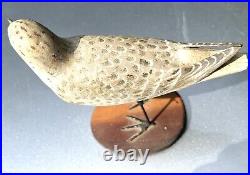 Vintage 1970's Sandering Hand Carved Shorebird Signed Peter Peltz