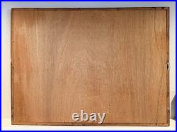 Vintage Hand Carved Buffalo Wall Art on Red Fabric Unique Mid-Century 36x48in