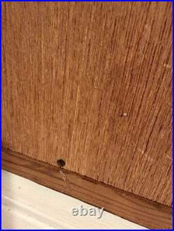 Vintage Hand Carved Buffalo Wall Art on Red Fabric Unique Mid-Century 36x48in