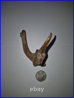 Vintage Hand Carved Driftwood Carving Shore Bird wire legs Sculpture SC