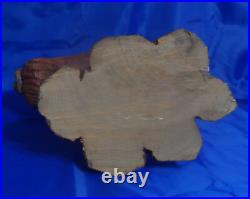 Vintage Hand Carved Wooden Statue Bird Gull Sculpture Figurine 14-1/2