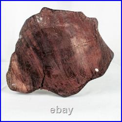 Vintage Handcraft Curved Wood Mama Baby Calf Deer Sculpture Size 10L x 9W