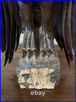 Vintage Ironwood Eagle Sculpture 1960's One Piece Live Edge Base 16 13lbs