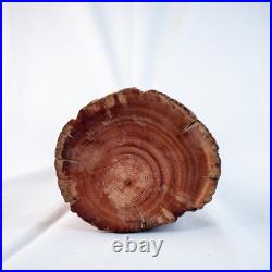 Vintage Native American Chief Handcraft Curved Wood Sculpture Size 20L x 5W