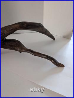 Vintage Natural Driftwood Sculpture Abstract Organic Wood Art Rustic Decor Displ Vintage Natural Driftwood Sculpture Abstract Organic Wood Art Rustic Decor Displ